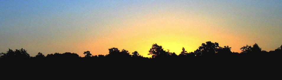 Sonnenuntergang vom Balkon Dammweg 55 aus